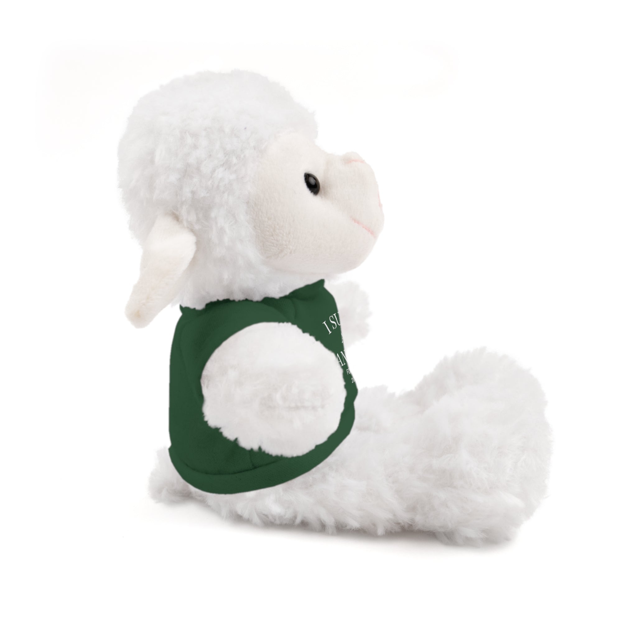 Fantasy Football Stuffed Animal, Cuddle Toy, Sports Gift, Personalized Plush Bear, Fun Gift Idea for Fans