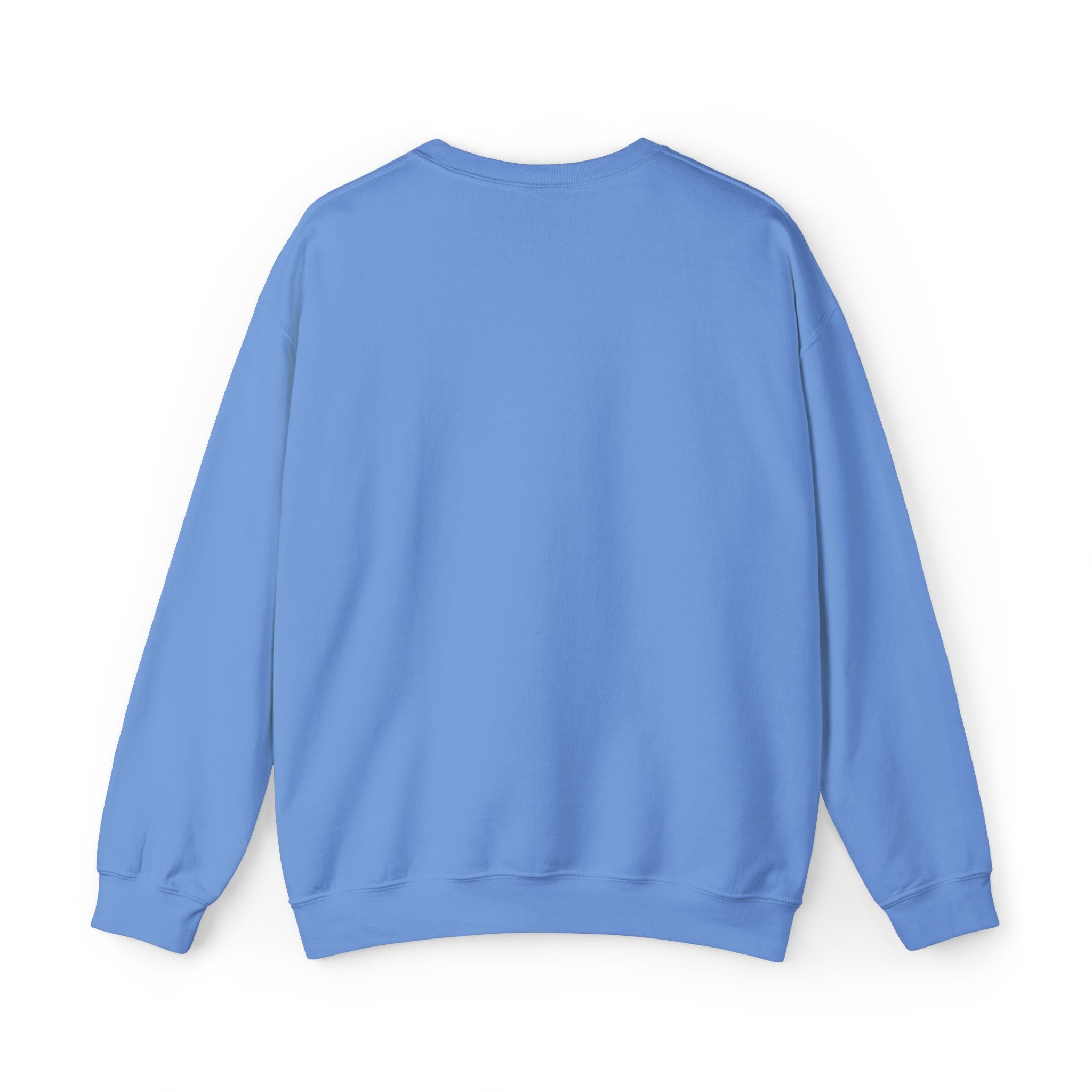 Cozy Unisex Sweatshirt, Casual Crewneck for All Seasons, Perfect for Gifting, Graphic Sweatshirt, Trendy Loungewear, Everyday Comfort