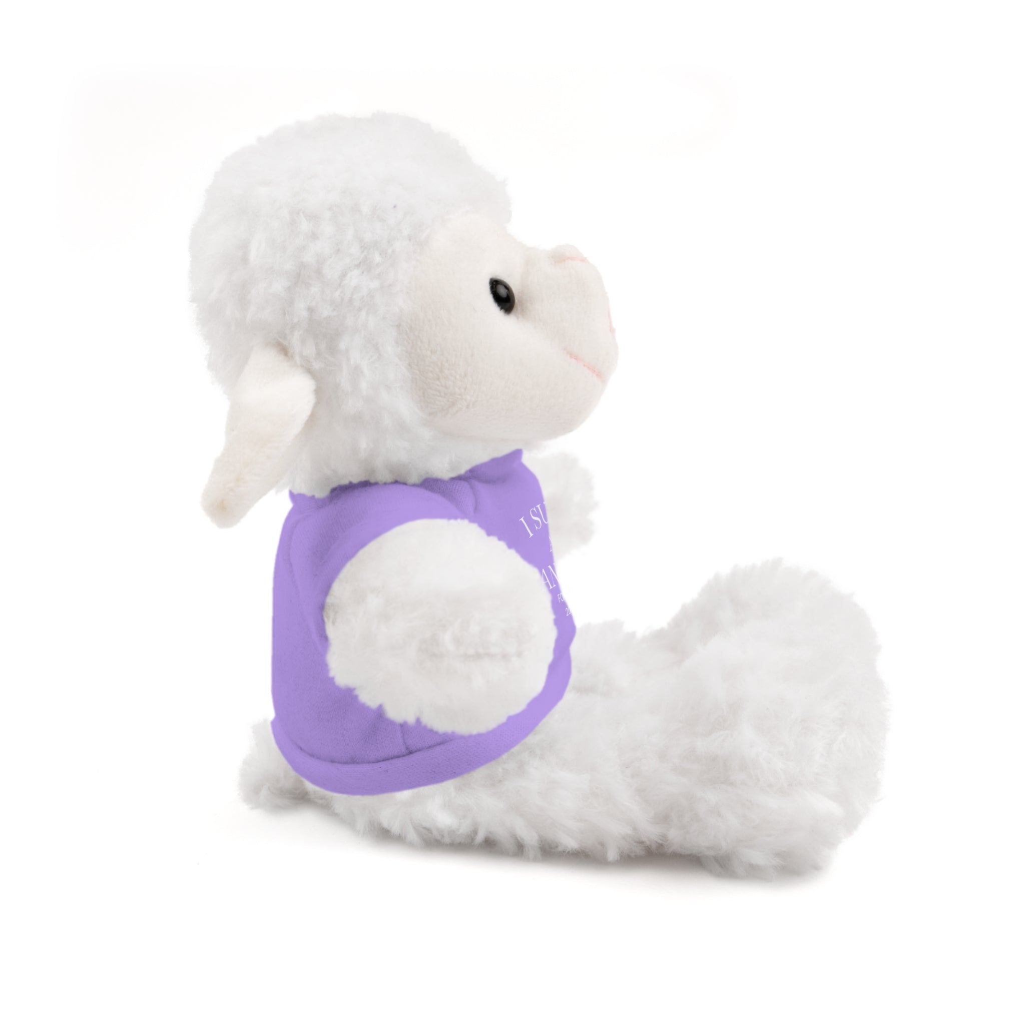 Fantasy Football Stuffed Animal, Cuddle Toy, Sports Gift, Personalized Plush Bear, Fun Gift Idea for Fans