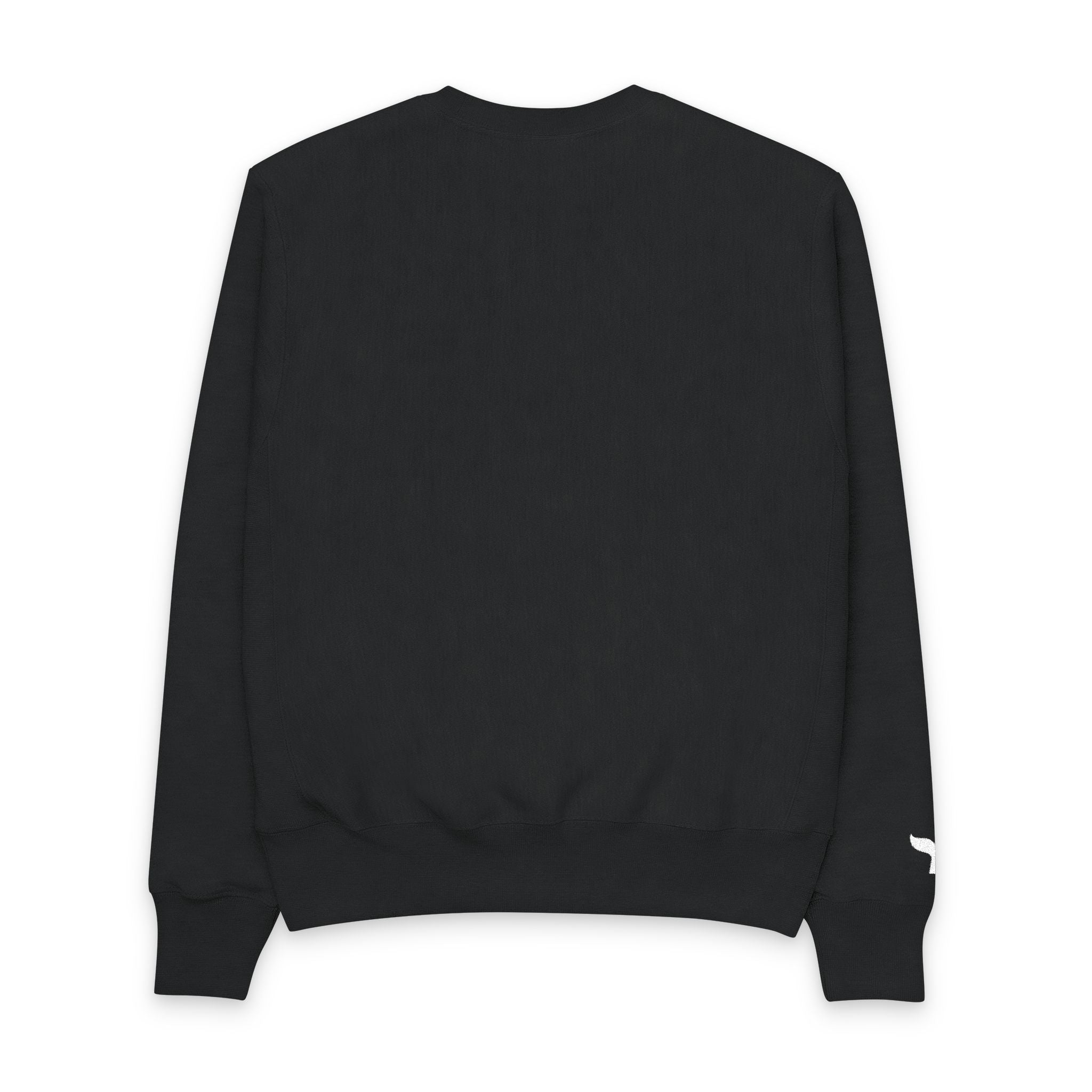 WAYG Collection- Juneau Alaska- Men's Champion Crewneck Sweatshirt