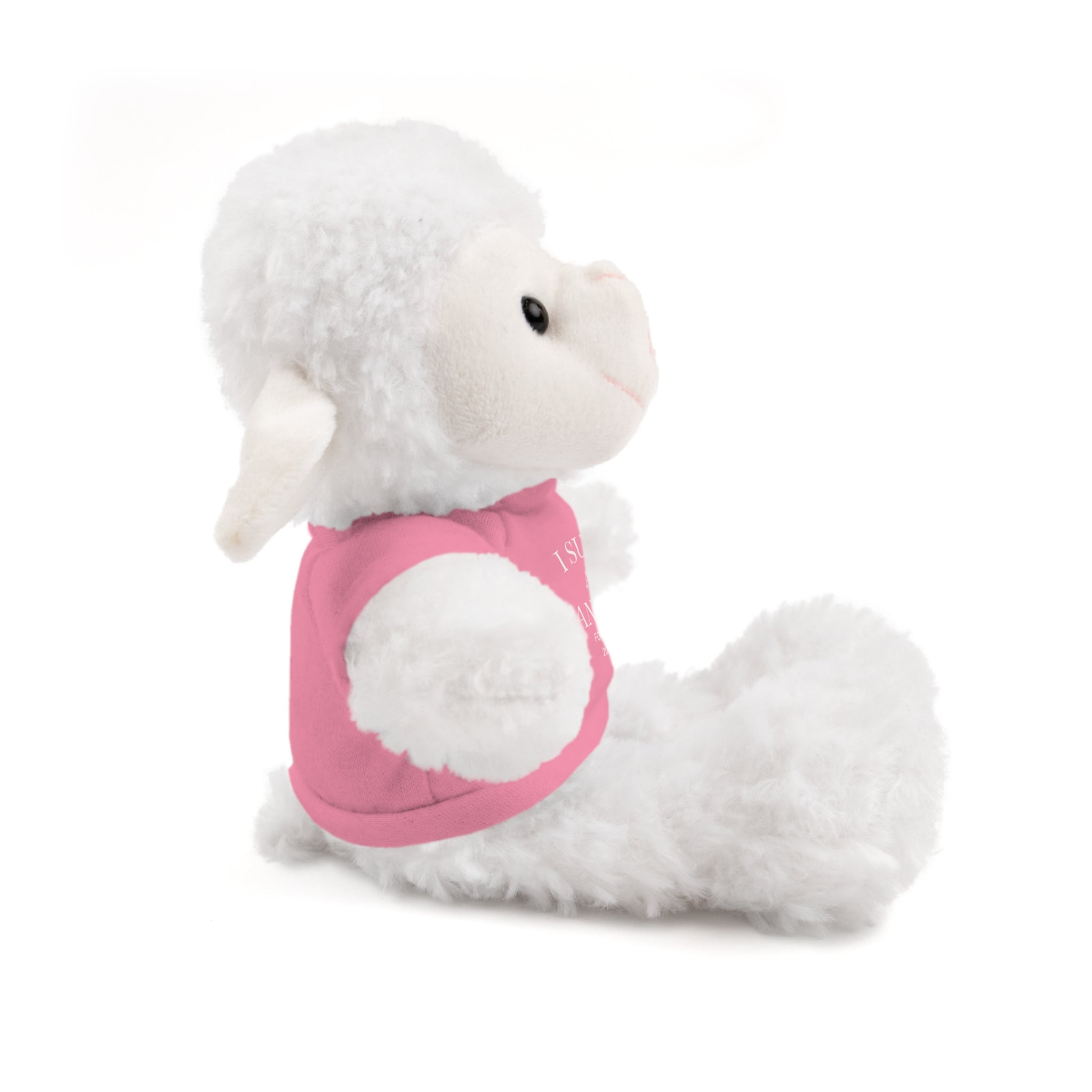 Fantasy Football Stuffed Animal, Cuddle Toy, Sports Gift, Personalized Plush Bear, Fun Gift Idea for Fans
