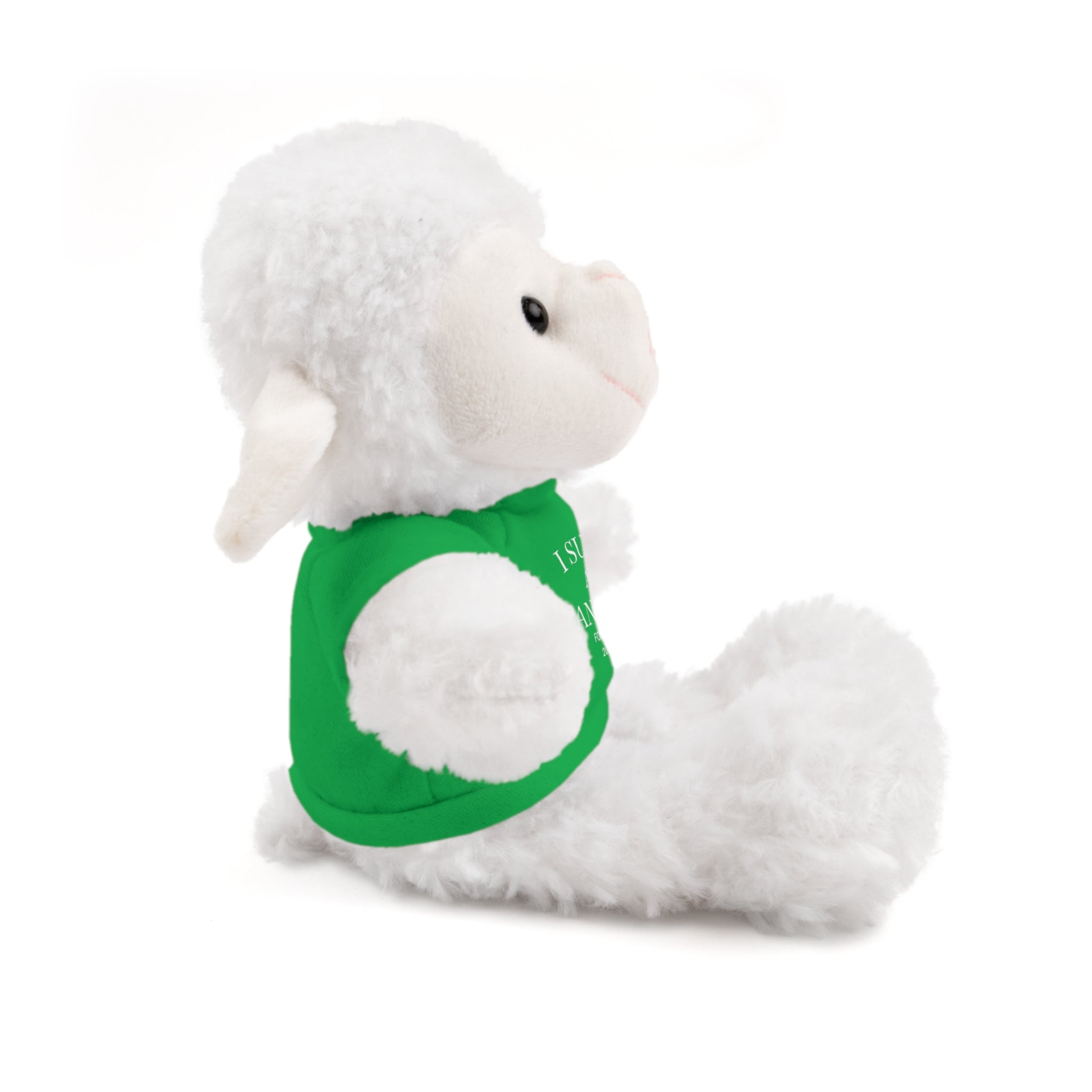 Fantasy Football Stuffed Animal, Cuddle Toy, Sports Gift, Personalized Plush Bear, Fun Gift Idea for Fans