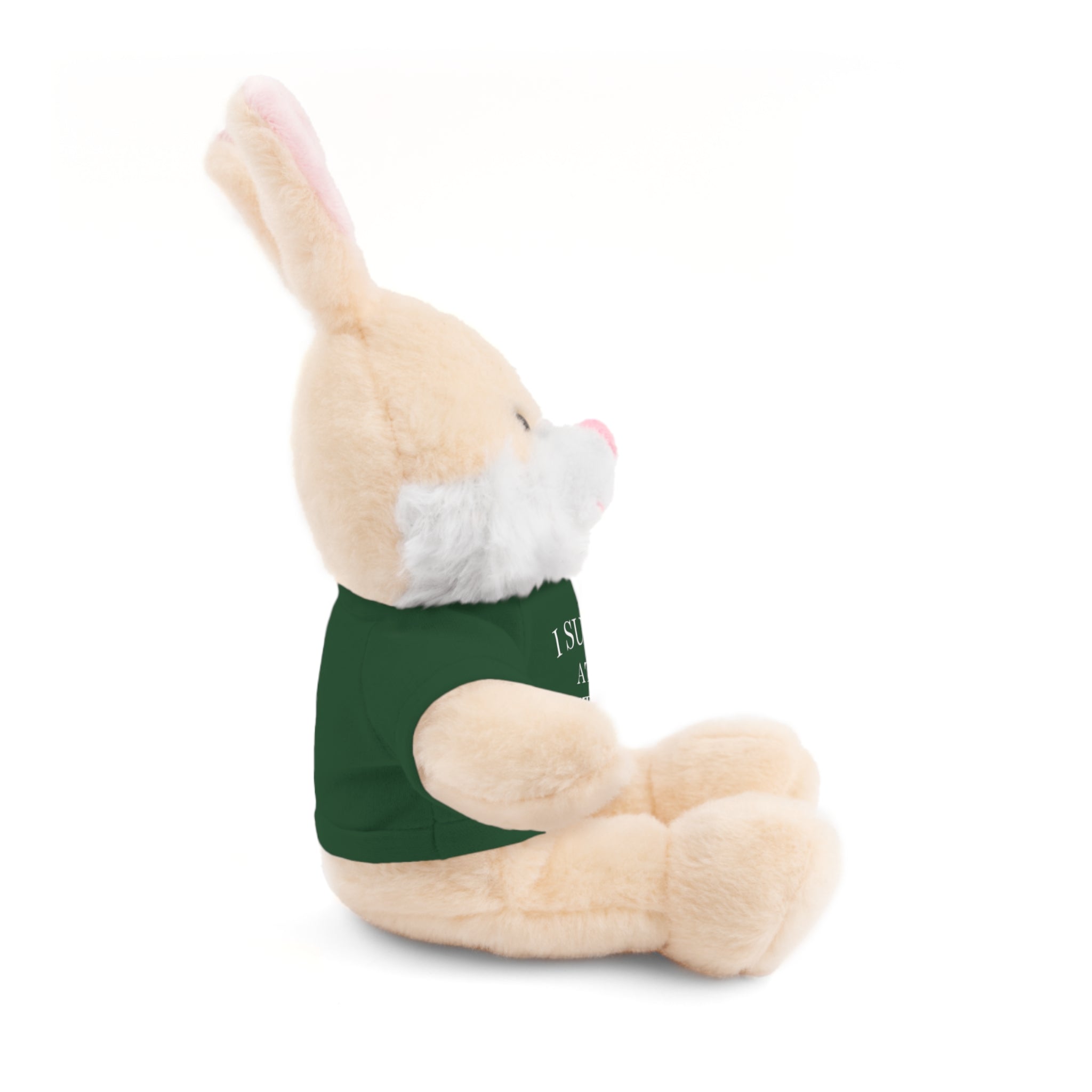 Fantasy Football Stuffed Animal, Cuddle Toy, Sports Gift, Personalized Plush Bear, Fun Gift Idea for Fans