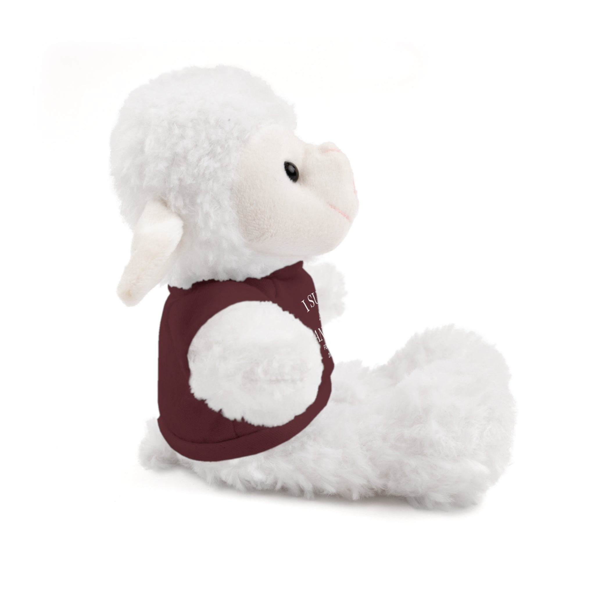 Fantasy Football Stuffed Animal, Cuddle Toy, Sports Gift, Personalized Plush Bear, Fun Gift Idea for Fans