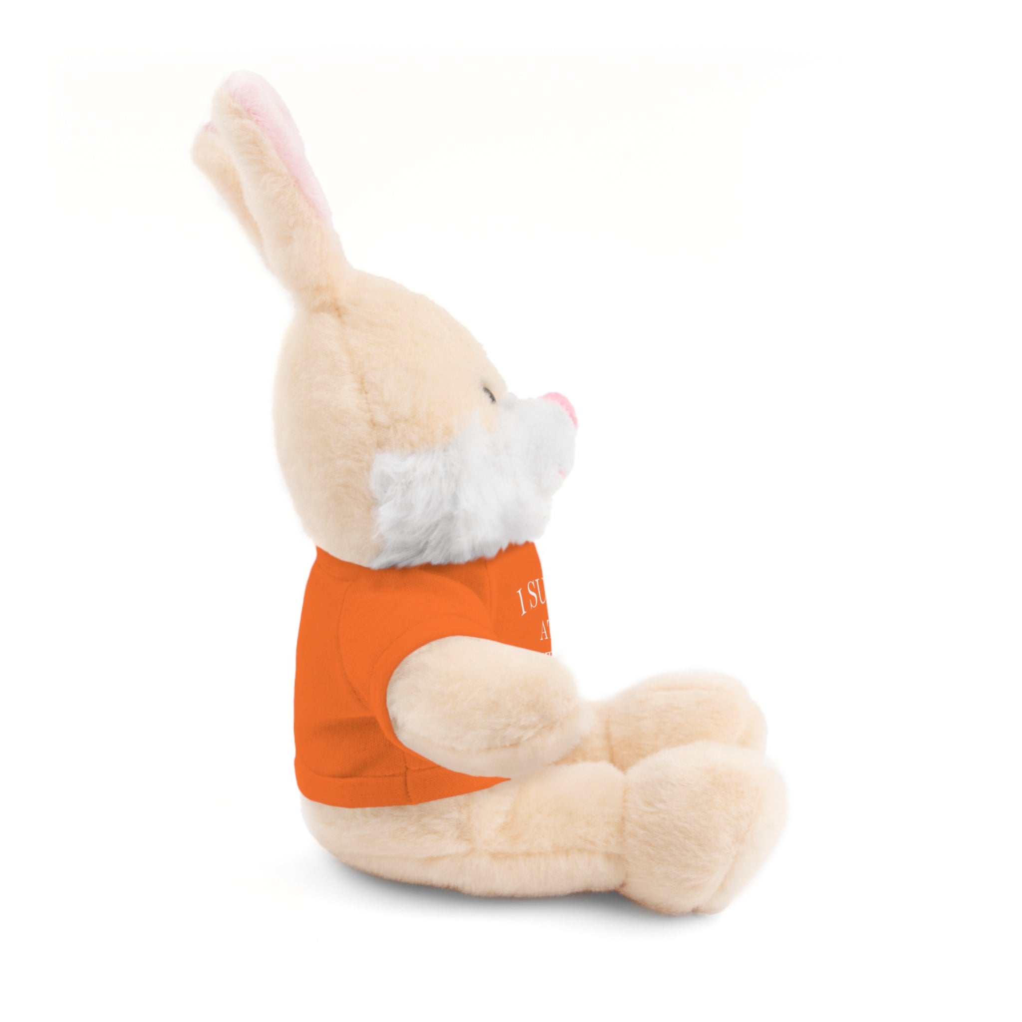 Fantasy Football Stuffed Animal, Cuddle Toy, Sports Gift, Personalized Plush Bear, Fun Gift Idea for Fans